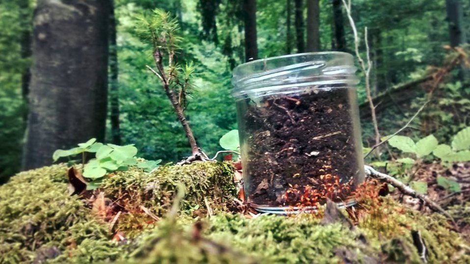 the-soil-jar