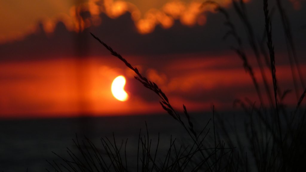 Sunset Sea Grass